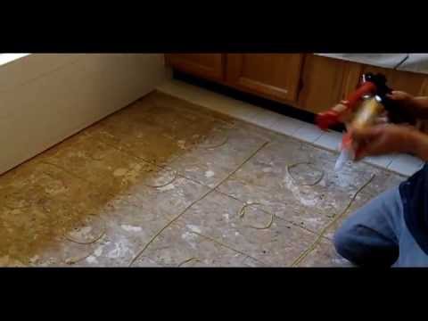 Newborn caulk gun video thumbnail